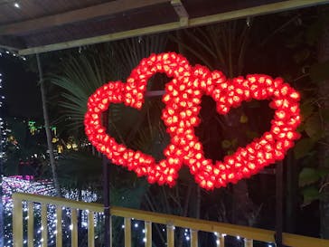 美らヤシパークオキナワ・東南植物楽園に投稿された画像（2023/1/14）