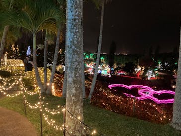 美らヤシパークオキナワ・東南植物楽園に投稿された画像（2023/1/14）