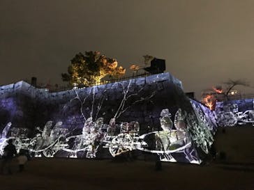福山城400年博-FUKUYAMA CASTLE EXPO 2022- RCC開局70年 「チームラボ 福山城 光の祭」に投稿された画像（2023/1/14）