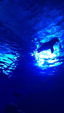 サンシャイン水族館に投稿された画像（2023/1/14）