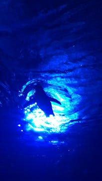 サンシャイン水族館に投稿された画像（2023/1/14）