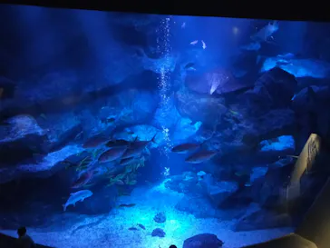 すみだ水族館に投稿された画像（2023/1/14）