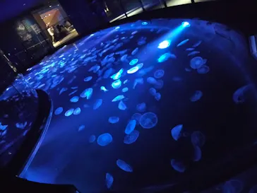 すみだ水族館に投稿された画像（2023/1/14）