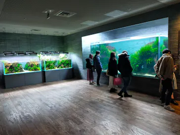 すみだ水族館に投稿された画像（2023/1/14）