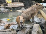 伊豆シャボテン動物公園に投稿された画像（2023/1/15）