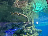 名古屋港水族館に投稿された画像（2023/1/15）