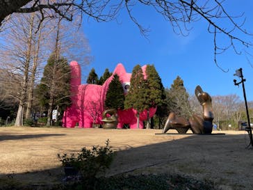 彫刻の森美術館に投稿された画像（2023/1/14）