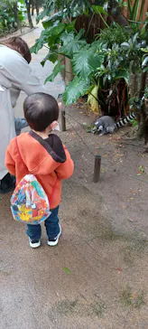 神戸どうぶつ王国に投稿された画像（2023/1/15）