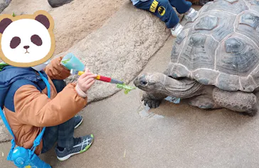 神戸どうぶつ王国に投稿された画像（2023/1/15）