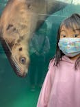 環境水族館アクアマリンふくしまに投稿された画像（2023/1/15）