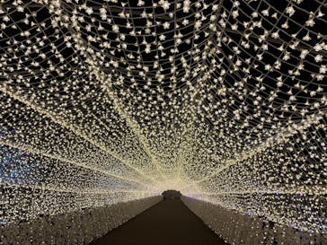 東京メガイルミに投稿された画像（2023/1/15）