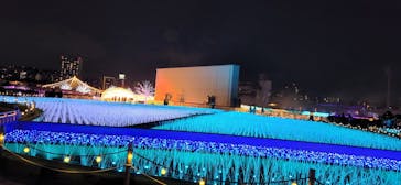 東京メガイルミに投稿された画像（2023/1/15）