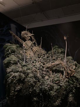 アニメージュとジブリ展に投稿された画像（2023/1/15）