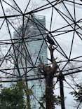 天王寺動物園に投稿された画像（2023/1/15）