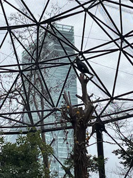 天王寺動物園に投稿された画像（2023/1/15）