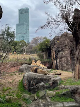 天王寺動物園に投稿された画像（2023/1/15）