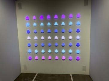 うんこミュージアム TOKYOに投稿された画像（2023/1/15）