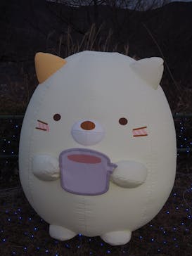 さがみ湖MORI MORIに投稿された画像（2023/1/15）