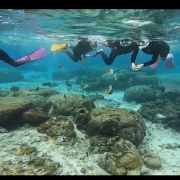 DIVING-SHOP SUNSに投稿された画像（2023/1/15）