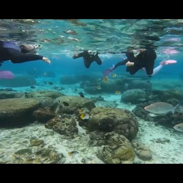 DIVING-SHOP SUNSに投稿された画像（2023/1/15）