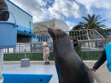 南知多ビーチランド＆南知多おもちゃ王国に投稿された画像（2023/1/15）