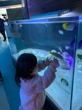 南知多ビーチランド＆南知多おもちゃ王国に投稿された画像（2023/1/15）