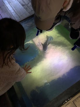 南知多ビーチランド＆南知多おもちゃ王国に投稿された画像（2023/1/15）