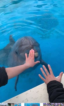 南知多ビーチランド＆南知多おもちゃ王国に投稿された画像（2023/1/15）