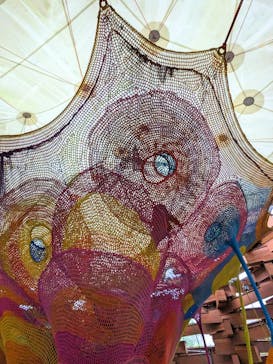 彫刻の森美術館に投稿された画像（2023/1/15）