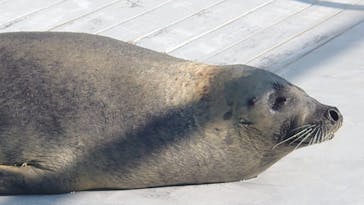 南知多ビーチランド＆南知多おもちゃ王国に投稿された画像（2023/1/15）