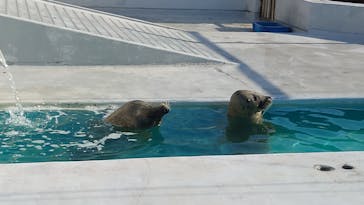 南知多ビーチランド＆南知多おもちゃ王国に投稿された画像（2023/1/15）