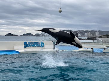 鴨川シーワールドに投稿された画像（2023/1/15）