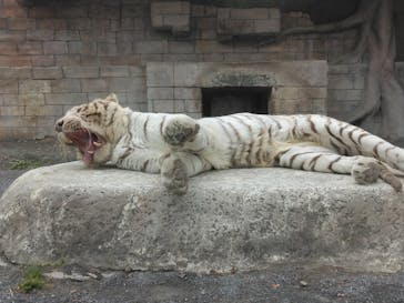 東武動物公園に投稿された画像（2023/1/15）