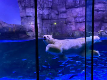 横浜・八景島シーパラダイスに投稿された画像（2023/1/15）