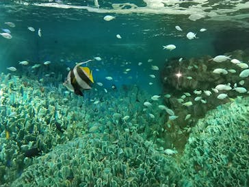 サンシャイン水族館に投稿された画像（2023/1/15）