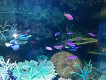 サンシャイン水族館に投稿された画像（2023/1/15）