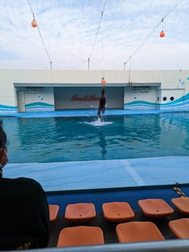 南知多ビーチランド＆南知多おもちゃ王国に投稿された画像（2023/1/15）