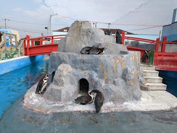 南知多ビーチランド＆南知多おもちゃ王国に投稿された画像（2023/1/15）