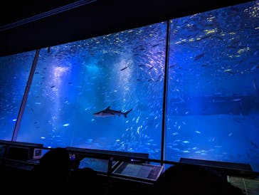 南知多ビーチランド＆南知多おもちゃ王国に投稿された画像（2023/1/15）