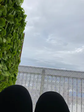 ひらかたパークに投稿された画像（2023/1/15）