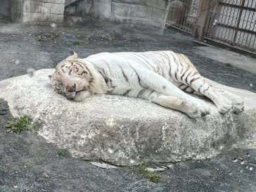 東武動物公園に投稿された画像（2023/1/15）