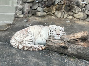東武動物公園に投稿された画像（2023/1/15）