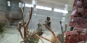 淡路ファームパーク イングランドの丘に投稿された画像（2023/1/15）