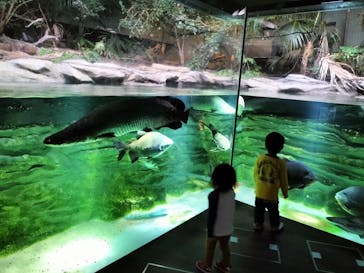 カワスイ 川崎⽔族館に投稿された画像（2023/1/15）