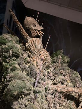 アニメージュとジブリ展に投稿された画像（2023/1/15）