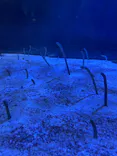 名古屋港水族館に投稿された画像（2023/1/15）