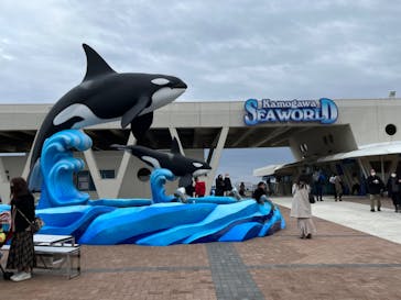 鴨川シーワールドに投稿された画像（2023/1/15）