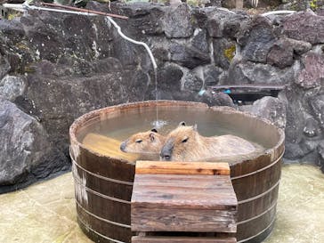 伊豆シャボテン動物公園に投稿された画像（2023/1/15）