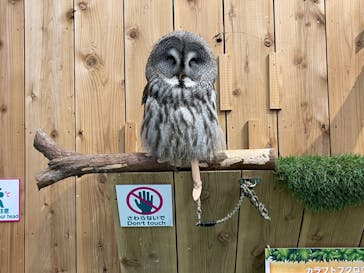 伊豆シャボテン動物公園に投稿された画像（2023/1/15）