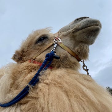 東北サファリパークに投稿された画像（2023/1/15）